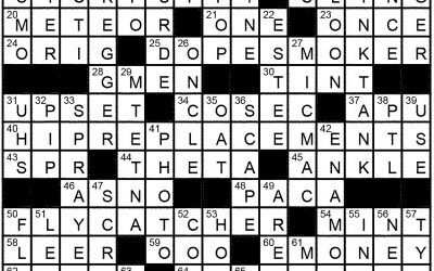 “Cool” Crossword Solution Feb 17