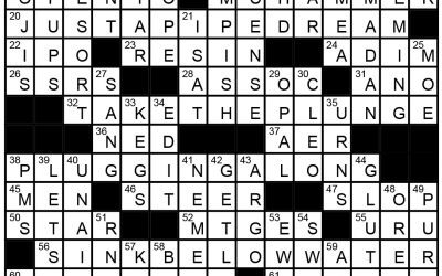 This is Plumb Crazy – Crossword Solution, June 29