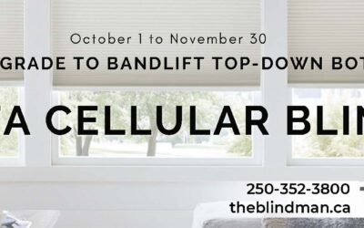 The Blindman | Alta Cellular Blinds