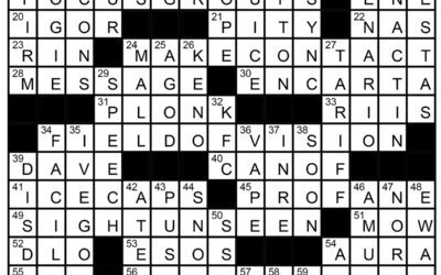 “Pardon M’Eye Puns” Crossword Solution | Sept 30