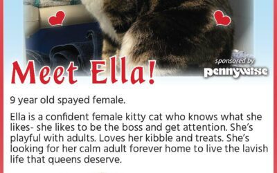 BCSPCA Pet of the Week | Ella